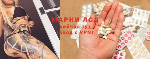 PSILOCYBIN Балахна