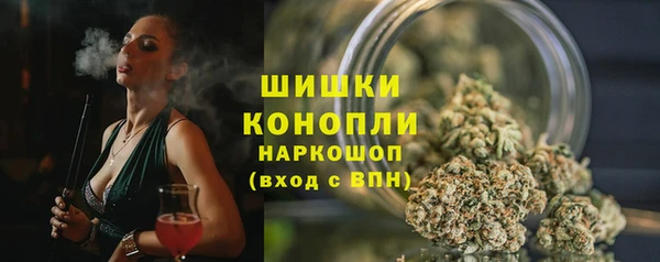 прущие грибы Баксан