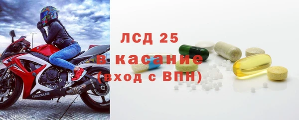 прущие грибы Баксан