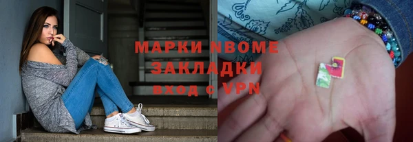 прущие грибы Баксан