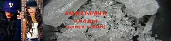 прущие грибы Баксан