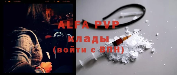 прущие грибы Баксан