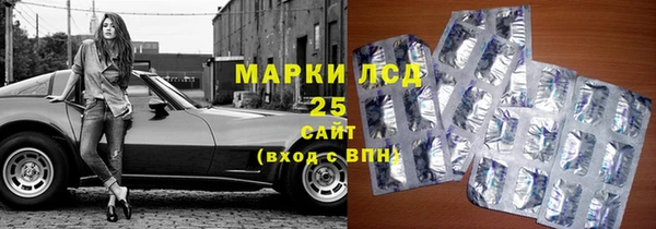 прущие грибы Баксан